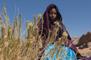 incontro con i tuareg_09.jpg