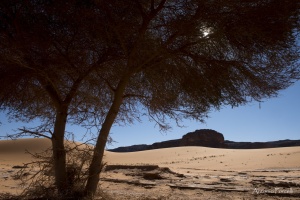 il fascino incomparabile del deserto-16.jpg