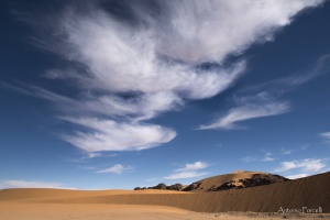 il fascino incomparabile del deserto-20.jpg